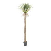By-Boo Kunstplant 'Wild Yucca Tree' 244cm hoog - thumbnail