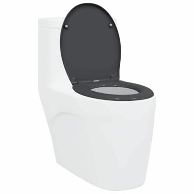 VidaXL Toiletzitting antraciet 47 x 37 x 4 cm duroplast VidaXL Toiletzitting antraciet 47 x 37 x 4 cm duroplast