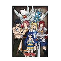 Poster Fairy Tail - Group 61x91,5cm - thumbnail