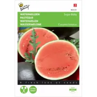 Zaden Watermeloen Sugar Baby Buzzy - Buzzy - thumbnail