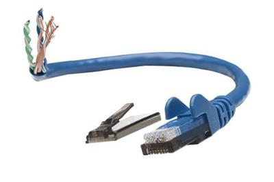 Intellinet 342568 RJ45 Netwerkkabel, patchkabel CAT 6 U/UTP 0.50 m Blauw 1 stuk(s)