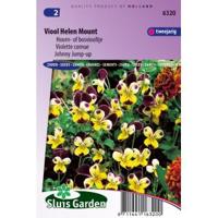 Viola Cornuta zaden Helen Mount viooltjes - thumbnail