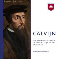 Calvijn - thumbnail