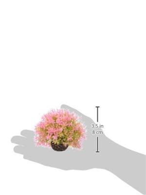 Decobol pink - Biorb