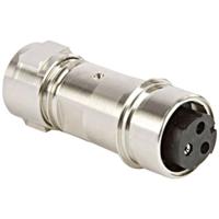 Bulgin Buccaneer 6000 PXP6043/A USB A inbouwbus Bus, inbouw 1 stuk(s) - thumbnail