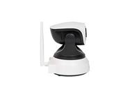 Eyenimal pet vision live hd camera - thumbnail