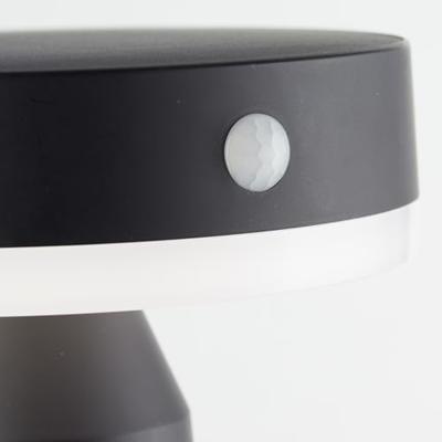Buitenwandlamp - BRILLIANT - MAGUA - LED en solar - Metaal en kunststof - 3,7 W - Zwart