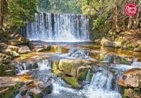 Forest Cascade Puzzel 2000 Stukjes - thumbnail