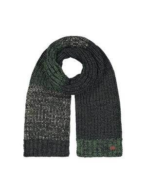 Barts Akotan Sjaal Heren Green One Size