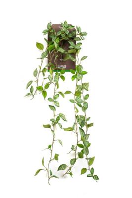 Peperomia hanging bush green/white kunstplant Emerald - Emerald