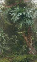 Noordwand Smart Art Easy Fotobehang groene jungle 47208 - thumbnail
