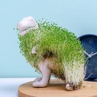 Dino bloempot met zaadjes - thumbnail