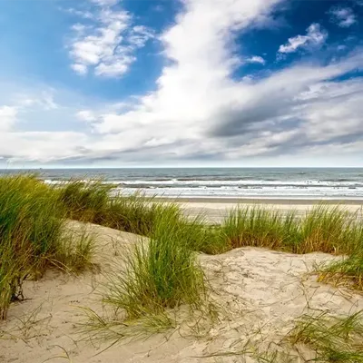 Alexsar Art Tuinschilderij duinen strand 50x50cm Alexsar Art Tuinschilderij duinen strand 50x50cm