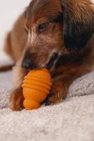 Beeztees Sumo Play S Oranje - thumbnail