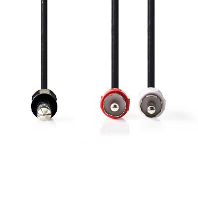 Stereo-Audiokabel | 6,35 mm Male - 2x RCA Male | 2,0 m | Zwart