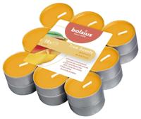 Geurtheelichten 4u True Scents Mango Bolsius - Bolsius - thumbnail