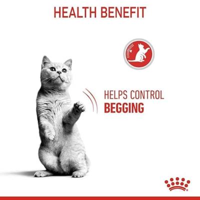 Royal Canin 6632692 C-584633 Sterilized Appetite Control - 400 gr