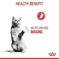 Royal Canin 6632692 C-584633 Sterilized Appetite Control - 400 gr - thumbnail
