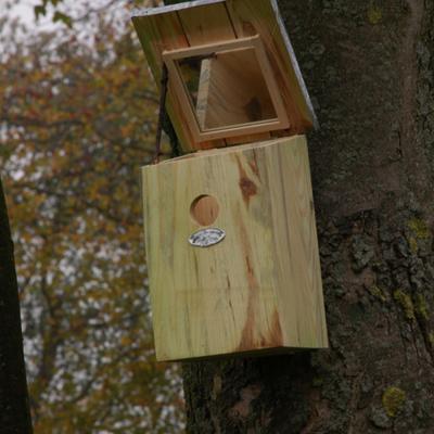 Spiegelnestkast Best for Birds - Best for birds