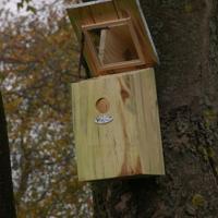 Spiegelnestkast Best for Birds - Best for birds - thumbnail