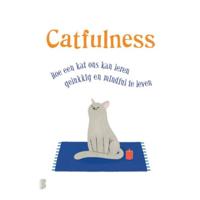 Catfulness - Paolo Valentino - Hardcover (9789022581216) - thumbnail