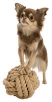 TRIXIE Be Nordic Knot Ball, Tang, Ø 18 cm, 0.88 kg - thumbnail