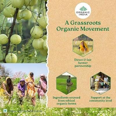 Organic India Thee Tulsi Original - thumbnail