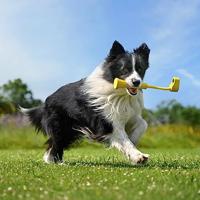 Insta360 GO 3 Fetch Stick - thumbnail