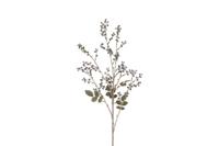 Countryfield phytolacca 87 cm paars - thumbnail