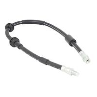 Remslang 24514002563 - thumbnail