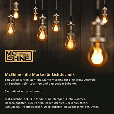 Enzo Mcshine led plafonniere 260mm 12w 3000k + sensor - 5017805 Enzo Mcshine led plafonniere 260mm 12w 3000k + sensor - 5017805