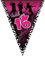 Vlaggenlijn Sweet 16 Roze - 5m - thumbnail