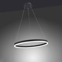 Paul Neuhaus Led hanglampTitus Ø 60cm - 2382-13 - thumbnail