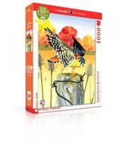 New York Puzzle Company Amerikaanse Torenvalk - 1000 stukjes - thumbnail
