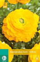Ranunculus geel bloembollen 10 bollen Ranonkel JUB - Jub - thumbnail