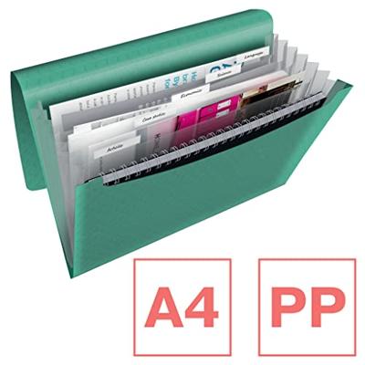 PROJECTMAP ESSELTE COLOUR'ICE A4 GROEN