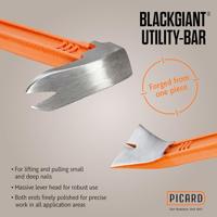 Picard BlackGiant® 2-delige koevoetset plat/smalle klauw - 0004699-111 - thumbnail
