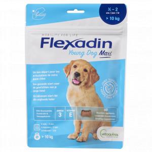 Flexadin young dog maxi 60 chews