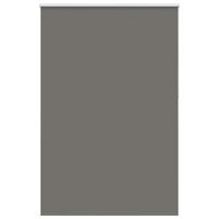 Rolgordijn verduisterend 165x210 cm stofbreedte 161,6 cm grijs - thumbnail