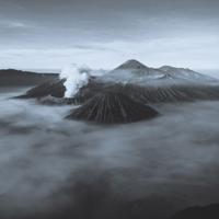 Wanddecoratie Art of Nature 015 74x74cm - thumbnail