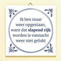Tegeltje Slapend rijk worden - thumbnail