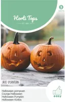Zaden Pompoen Jack O'Lantern (Cucurbita Pepo) Hortitops - Hortitops - thumbnail