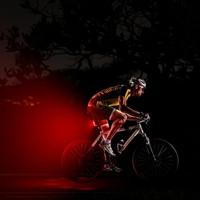 FISCHER FAHRRAD PLUS TWIN STOP Achterlicht LED Zwart - thumbnail