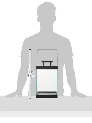 Blomus Finca Lantaarn medium zwart 30,5 cm