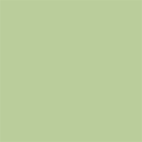 Superior Achtergrondpapier 13 Tropical Green 2,72 x 11m - thumbnail
