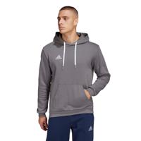 adidas Entrada 22 Sweat Hoodie Grijs Wit - thumbnail