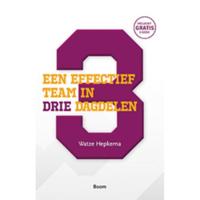 Een effectief team in drie dagdelen - Watze Hepkema - Paperback (9789024404155) - thumbnail