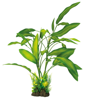 Art plant 40 cm cryptocoryne Superfish - Superfish