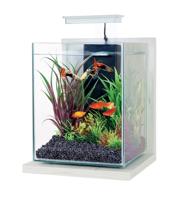 Zolux Jalaya Aquarium Antiek Wit - thumbnail