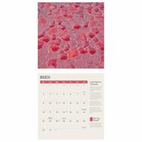 Amazing Planet Kalender 2026 - thumbnail